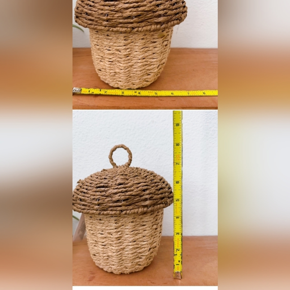 GIVEAWAY! Fall Harvast Woven Baskets- Apple, Acorn or Pumpkin - Picture 9 of 9